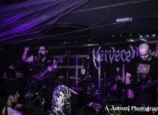 Halloween Night 2013