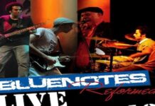 Interview with M. El Mallawany from Bluenotes