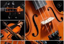 Best Viola Brands for Beginners 2019