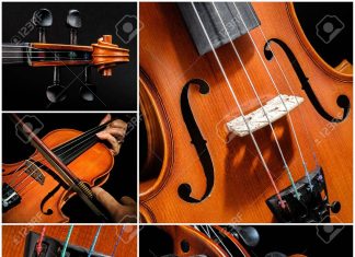 Best Viola Brands for Beginners 2019