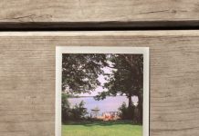 Review: Saturdays by Pacific Estate
