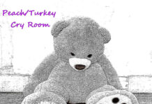 Review: Cry Room by Peach/Turkey