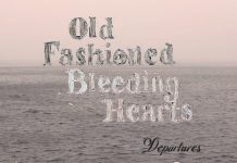 Burning Stars by Old Fashioned Bleeding Hearts