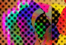 Phanerothymes by Fashion Bird Danger Danger