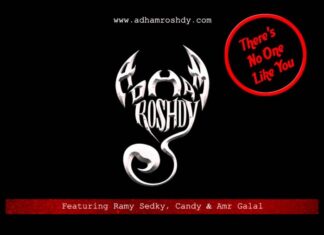 Adham Roshdy – There’s No One Like You