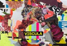 IV by Viscula