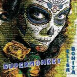 Chatting with the SuperMonkey
