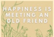 Happiness is Meeting an Old Friend by Perttu Leinonen