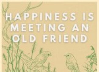 Happiness is Meeting an Old Friend by Perttu Leinonen