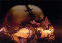 Album: Machinations of Dementia by Blotted Science