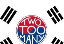 Big In Korea by Two Too Many