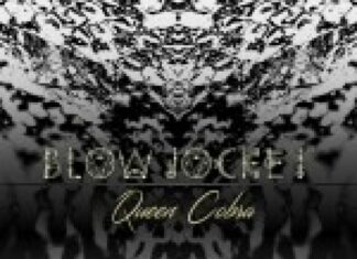 Queen Cobra by Blow Jockey