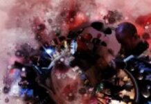 You Are Not Fans by The Qwarks
