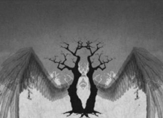Hopelessness – Dawn