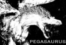 Album: Steely Barista by Pegasaurus