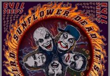 Sunflower Dead “It’s time to get weird”
