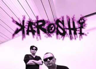 Interview with Karoshi