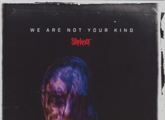 We Are Not Your Kind by Slipknot