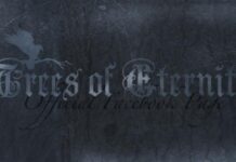 Trees of Eternity – Broken Mirror