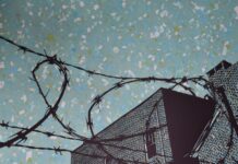 Keep it Steady by Taylor Christian Gomolisky