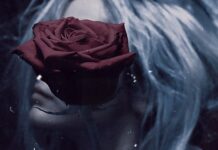 Wonderland by Courtney I Nord
