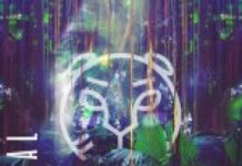Animal by Safari Youth