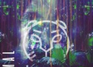 Animal by Safari Youth