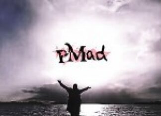 Interview with pMad
