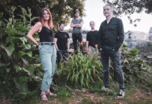 Chatting with Matthew Rochford from Abrasive Trees