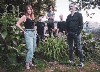 Chatting with Matthew Rochford from Abrasive Trees