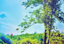 Review: Andrew Reed – “If All The World Were Right”