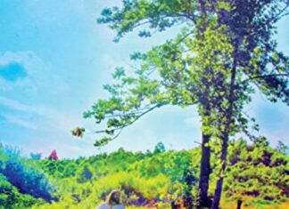 Review: Andrew Reed – “If All The World Were Right”