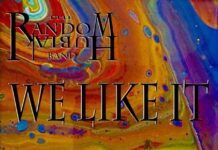 Review: We Like It by The Random Hubiak