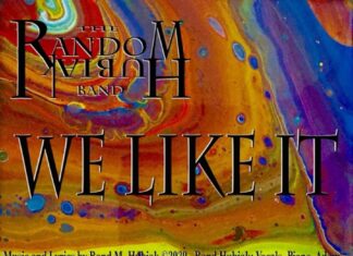 Review: We Like It by The Random Hubiak