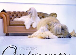 Giancarlo – One Love One Try