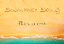Summer Song by The Breakdown