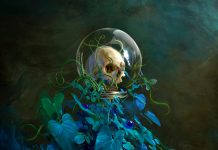 Album: Still Leben by Muddasheep