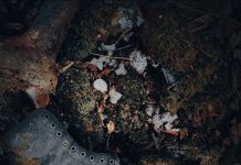 Here She Lies by Hail