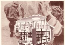 The Things We Learn in Books by Mules