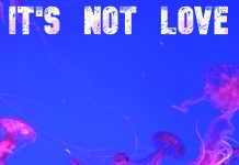 It’s Not Love by Aggressive Soccer Moms
