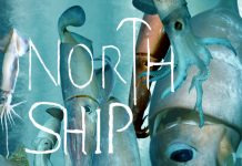 Plastic House by North Ship