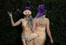 Masquerade by Anastasia Elliot