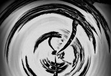 Summer Sun by The Shrubs