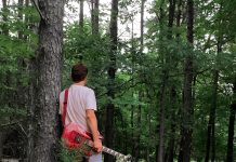 Lamb of God by The Stuart Patti Project