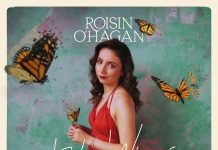 Broken Wings by Roisin O’Hagan