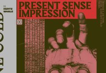 Album: Present Sense Impression by 52 Hertz Whale