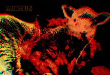 Animus by Asterous
