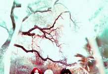 Mrreowrr by Doll Riot