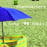 B Song (WW Remix) by Snakedoctors