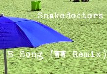 B Song (WW Remix) by Snakedoctors